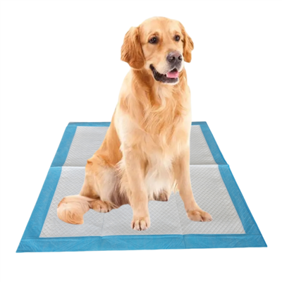 وسادات قعادة يمكن التخلص منها للحيوانات الأليفة