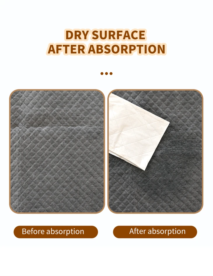 Tianjin Yiyi Disposable Carbon Pet Toilet Pads